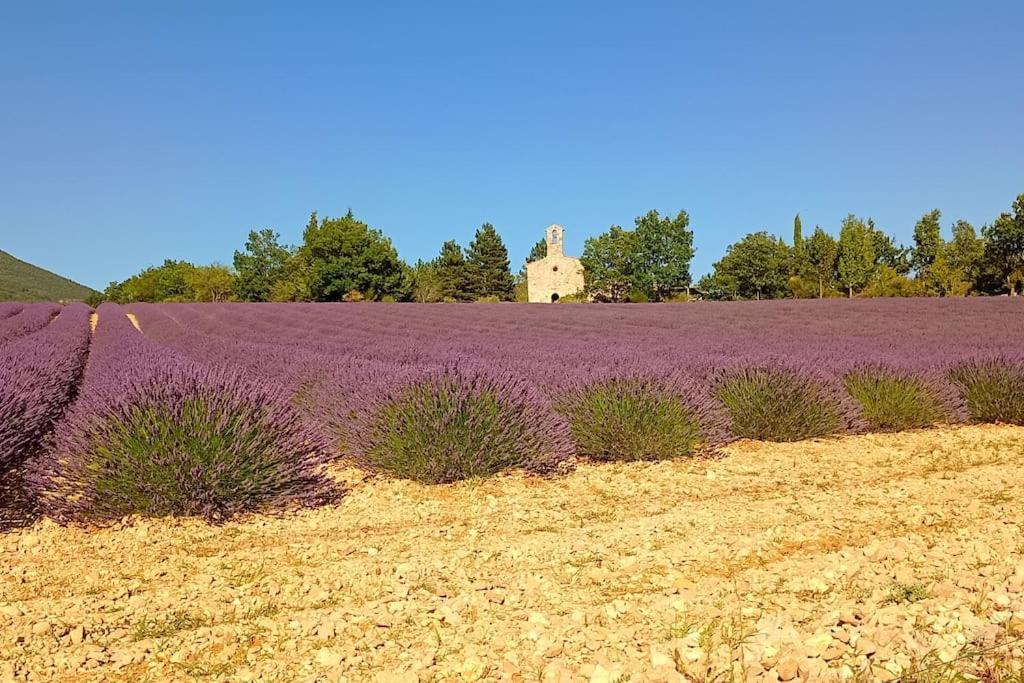 Le Mazet Sainte-Jalle, Piscine Chauffee, Jardin Clos, Barbecue En Baronnies Provencales Eksteriør billede