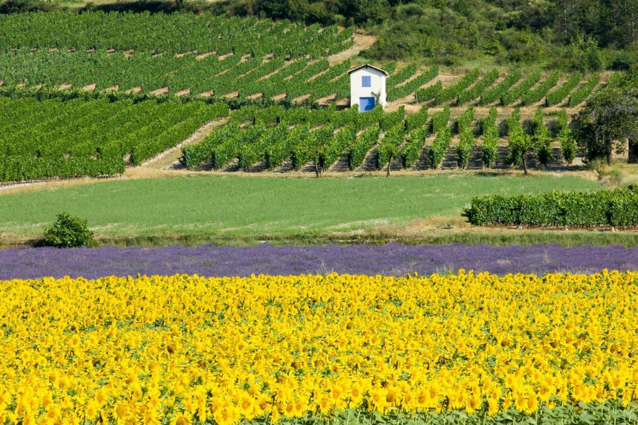 Le Mazet Sainte-Jalle, Piscine Chauffee, Jardin Clos, Barbecue En Baronnies Provencales Eksteriør billede